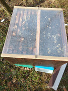 [Obrázky: IMG_20251217_112553.jpg]