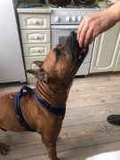 A7DEF292-3B9C-497B-8512-5D1382D5893D