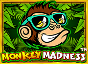 madmonkey
