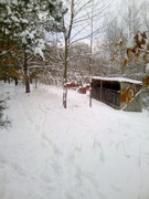 [Obrázky: IMG-20210216-090810.jpg]
