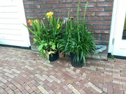 IMG-4839.jpg