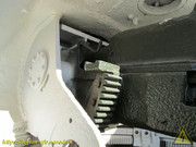 IMG-3445
