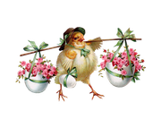 0-1c0c81-395f4b66-orig