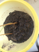 9D6B37DD-EE0D-488D-B4C5-5DD793243029