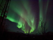 PXL_20221120_183554019.NIGHT