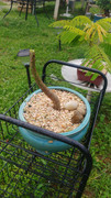 IMG-20200328-WA0034