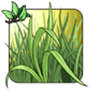 Item-85x85-(2)