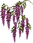 ISmell-Autumn-LL-Element46