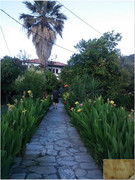 Image00052
