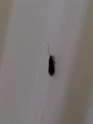 E9C146C2-46D4-471D-B2BC-884688821B11