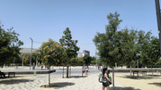 IMG-20260622-145314748