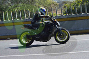 DSC-0665-(2)