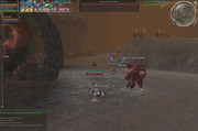 dv2.jpg