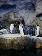 IMG-9873