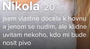 Obrázek