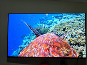 IMG-20191114-213444