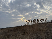 IMG-0878