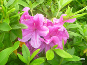 photo 11 2026 01 03 21 33 01