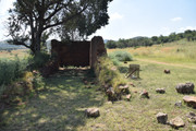 DSC-0031