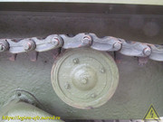 IMG-8200