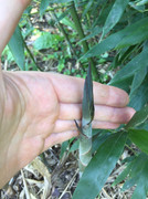 61665581_873318936355363_9172805750496428032_n