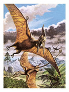 https://i.postimg.cc/GHNvR3W2/4cf3053f45e42e2e34986f65c60bd86a-prehistoric-animals-allposters-com.jpg