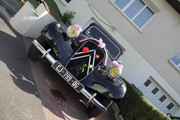 IMG-7626.jpg