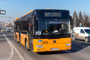 IMG-5287