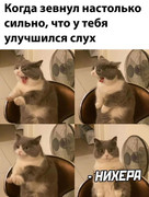1e09b4b77af323b2b6534099ea7f36ea.jpg