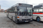 IMG-3119