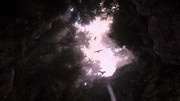 ACBlack-Flag-2026-07-28-22-31-12-774