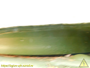 DSCN1344
