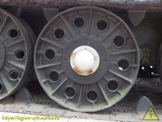 DSCN5087