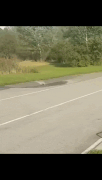 video-2026-08-26-01-16-47-(1)
