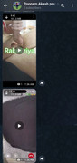 Screenshot-20250115-113943-Plus