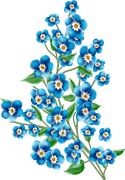 april-showers-SD-155