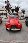 IMG-2916