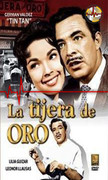 Imagen 29