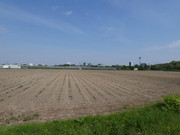 P1020006