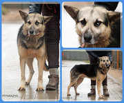 Be-Funky-collage-19.jpg&key=0a7789274f47