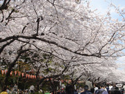 photo 30 2025 12 24 16 27 05