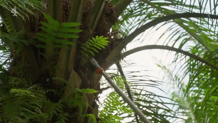 [Image: gikz90kz01mm.jpg]