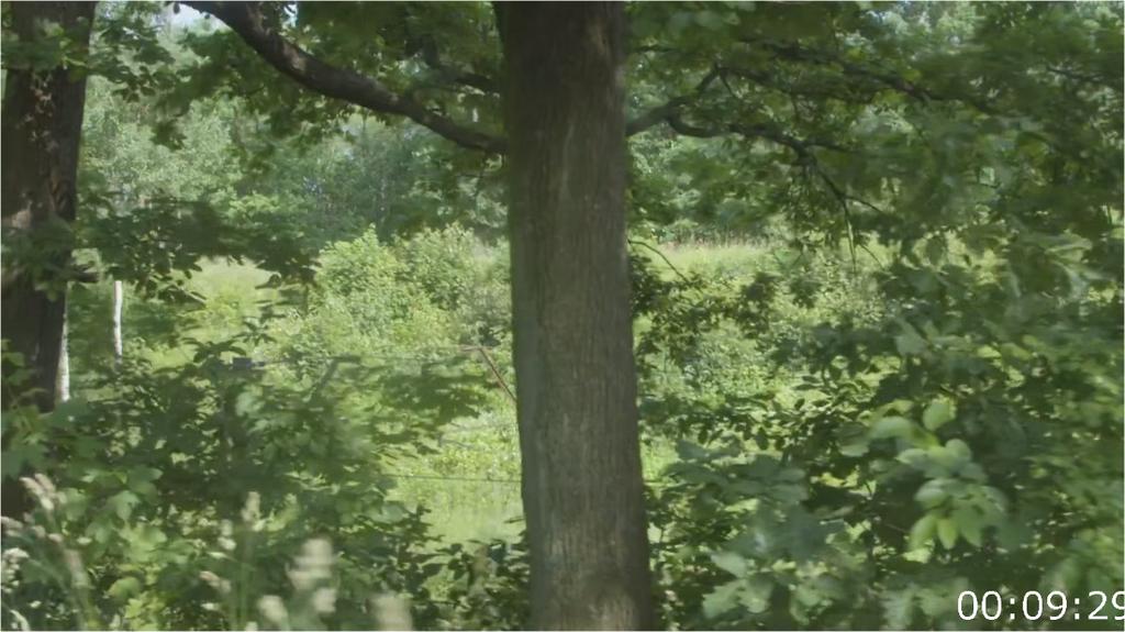 [Image: n114lngdj6by.png]