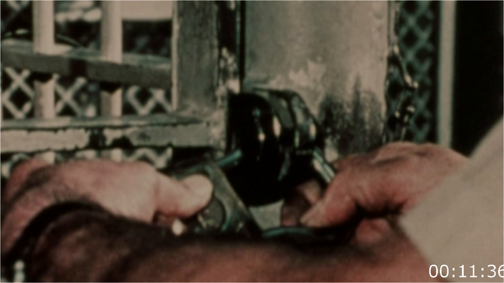 [Image: 1urm82bfx6nu.png]