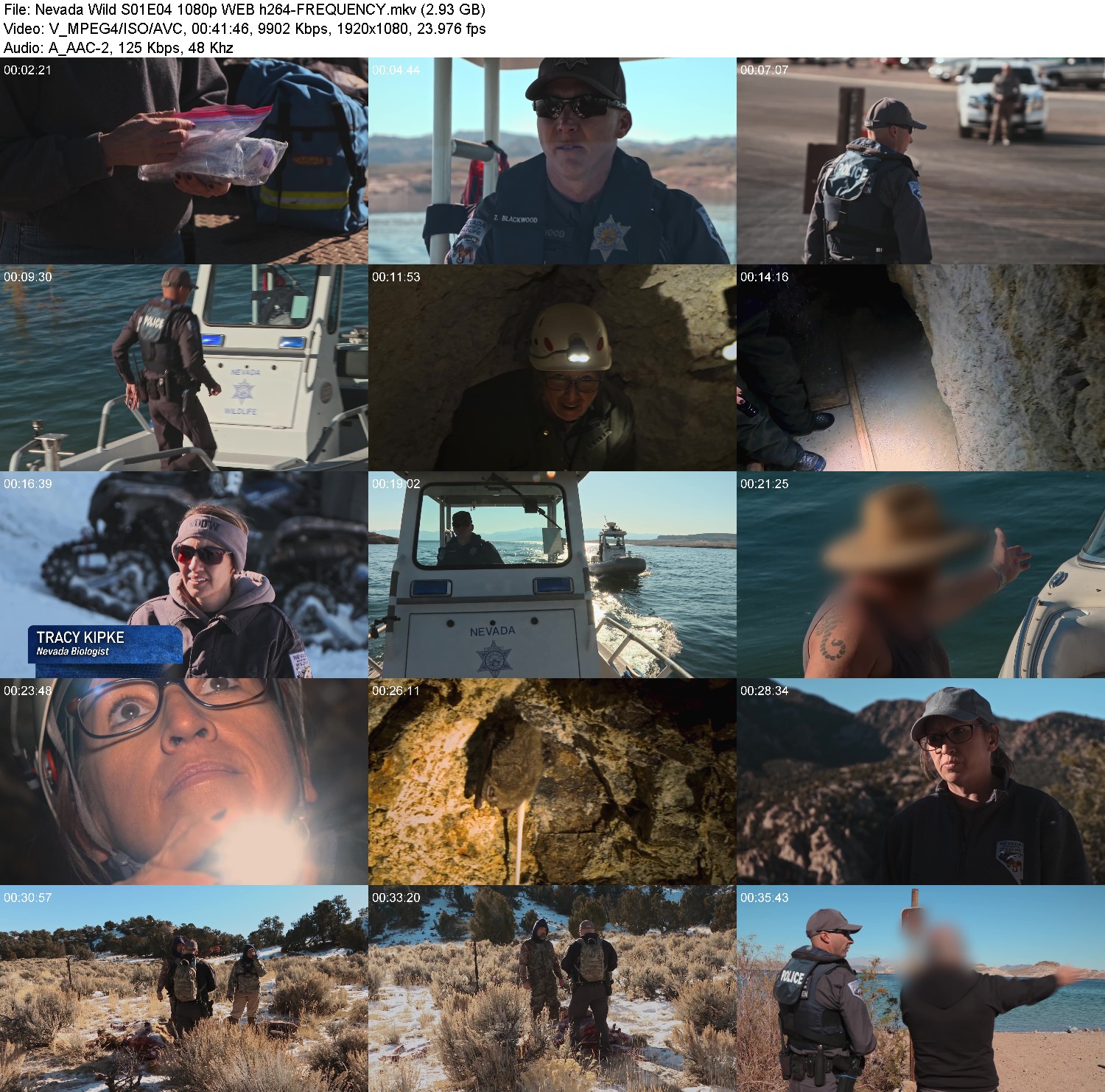 [Image: adxmoa9f71p4.jpg]