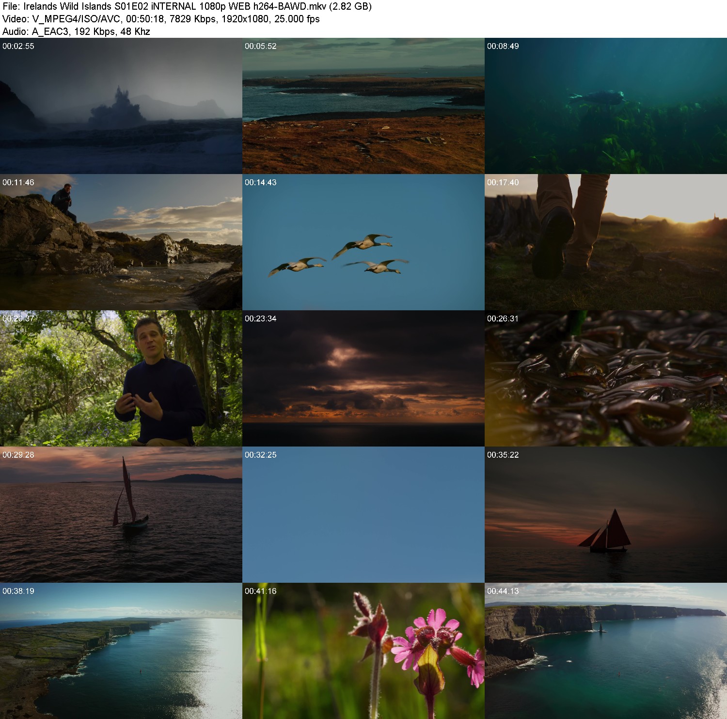 [Image: 9a67qunfc0hr.jpg]