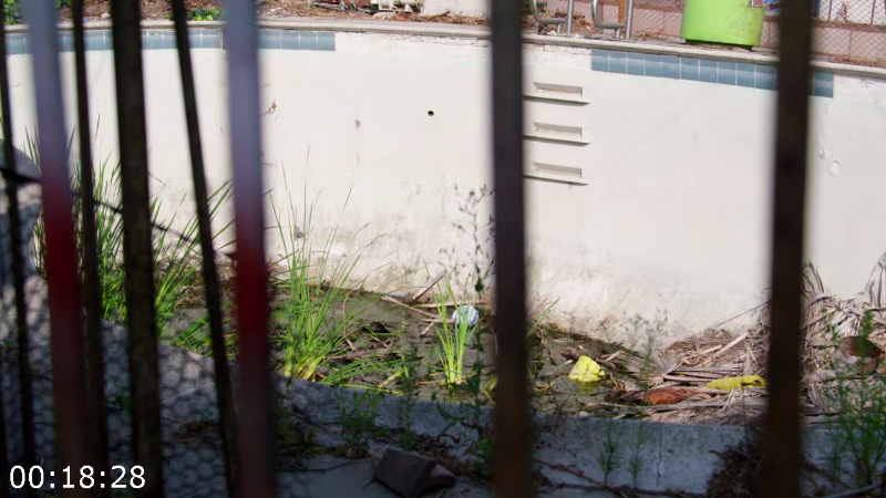 [Image: i4kej52dbcd1.png]