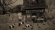 [Obrazek: DSC04946-3.jpg]