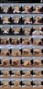 exvr00535vrv1uhqe4-mp4-contact-sheet.jpg