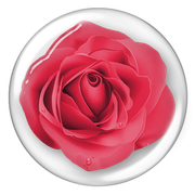 BIBI-PINK-ANGEL-ELEMS-87